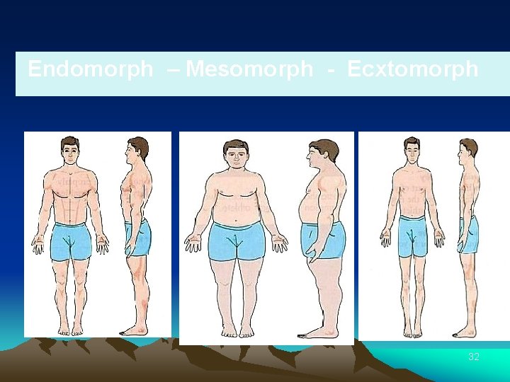  Endomorph – Mesomorph - Ecxtomorph 32 