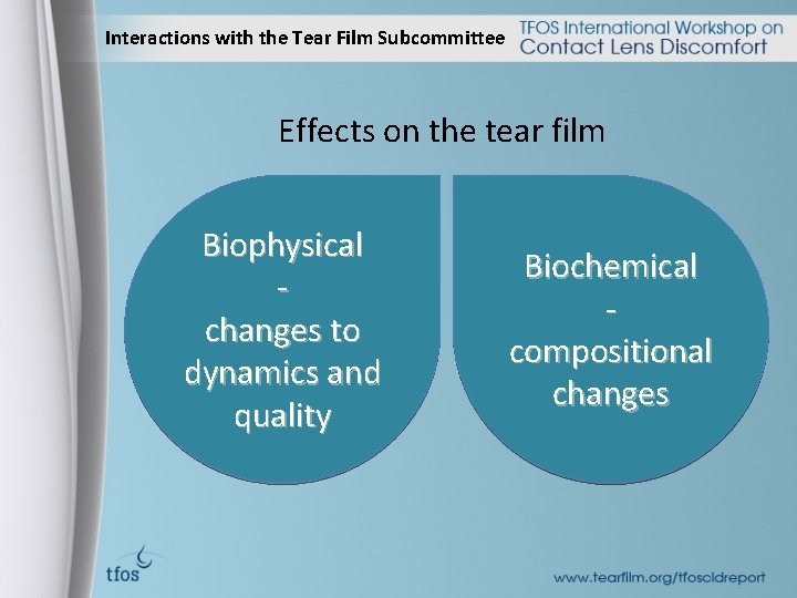 Contact Lens Interactions with the Tear Film Subcommittee