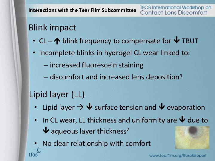 Contact Lens Interactions with the Tear Film Subcommittee