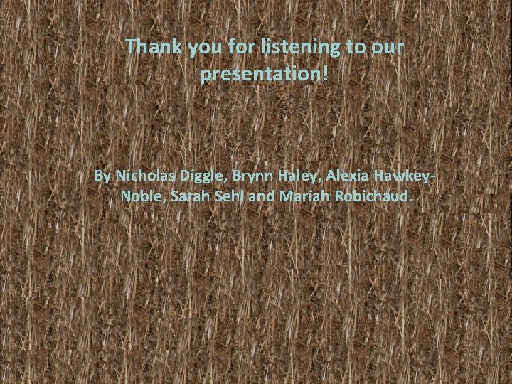 Thank you for listening to our presentation! By Nicholas Diggle, Brynn Haley, Alexia Hawkey.