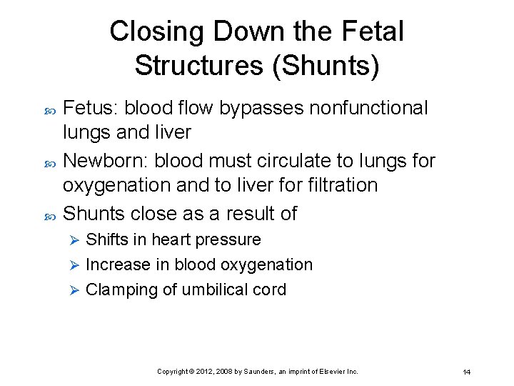Closing Down the Fetal Structures (Shunts) Fetus: blood flow bypasses nonfunctional lungs and liver