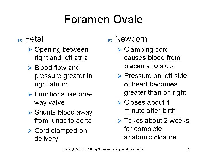 Foramen Ovale Fetal Opening between right and left atria Ø Blood flow and pressure