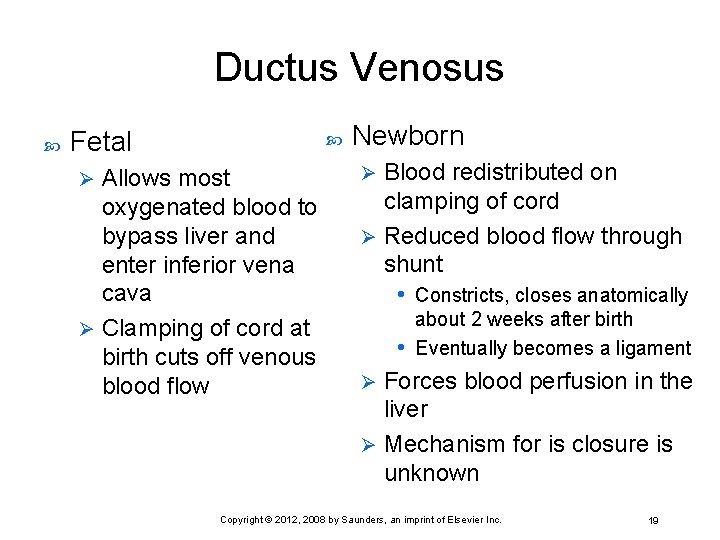 Ductus Venosus Fetal Allows most oxygenated blood to bypass liver and enter inferior vena