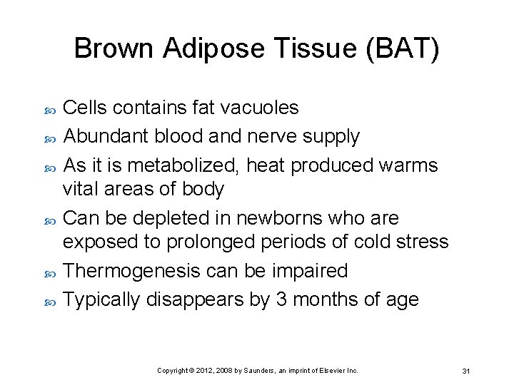 Brown Adipose Tissue (BAT) Cells contains fat vacuoles Abundant blood and nerve supply As
