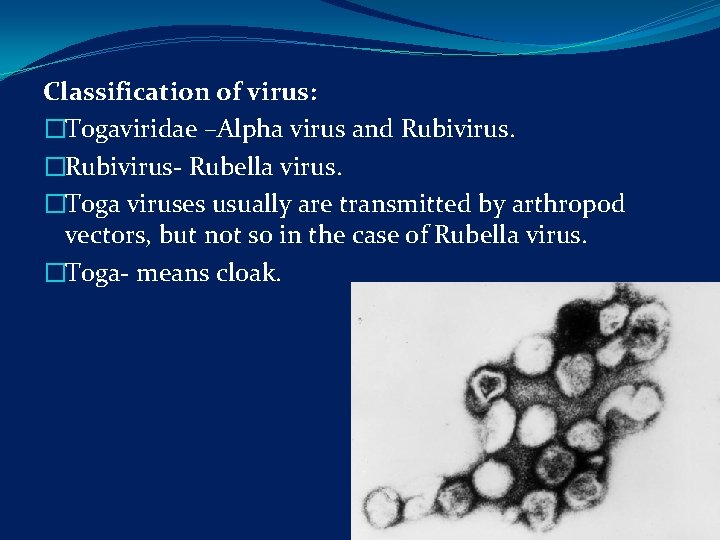 Classification of virus: �Togaviridae –Alpha virus and Rubivirus. �Rubivirus- Rubella virus. �Toga viruses usually