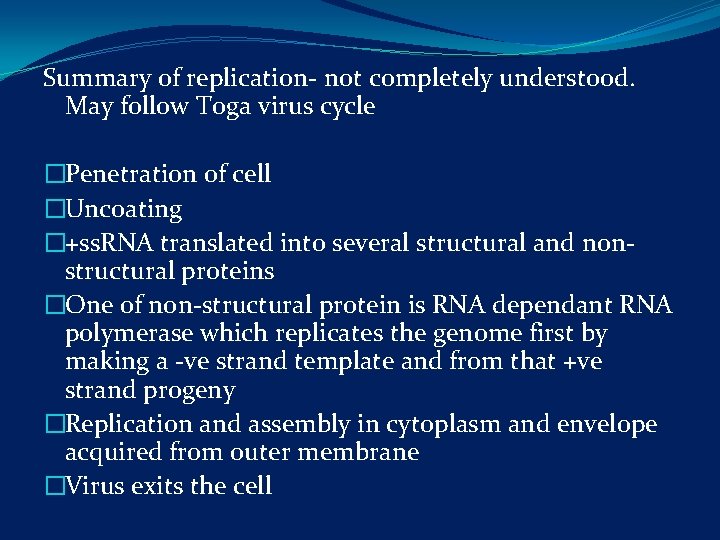 Summary of replication- not completely understood. May follow Toga virus cycle �Penetration of cell