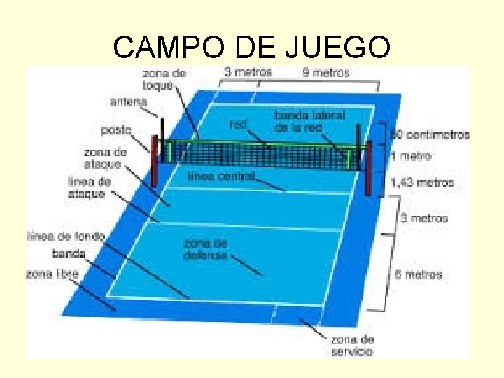 CAMPO DE JUEGO 