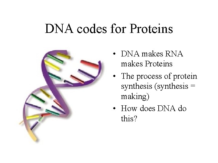 DNA codes for Proteins • DNA makes RNA makes Proteins • The process of