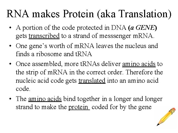 RNA makes Protein (aka Translation) • A portion of the code protected in DNA