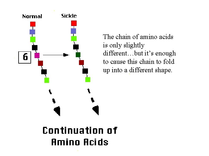 The chain of amino acids is only slightly different…but it’s enough to cause this