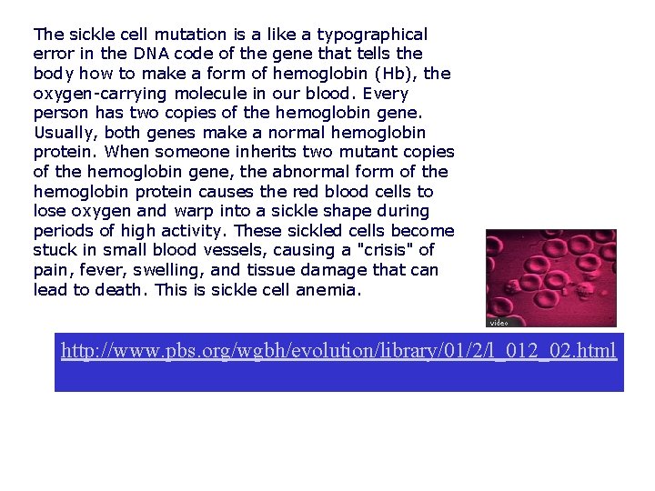 The sickle cell mutation is a like a typographical error in the DNA code