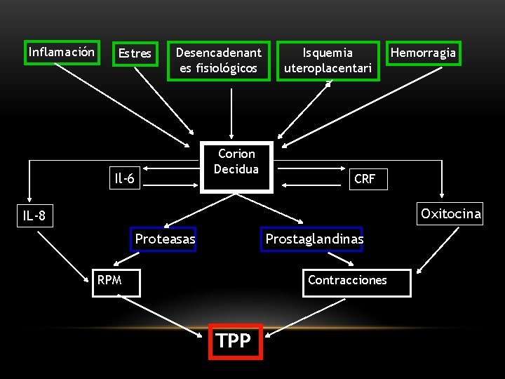 Inflamación Estres Desencadenant es fisiológicos Corion Decidua Il-6 Isquemia uteroplacentari a Hemorragia CRF Oxitocina