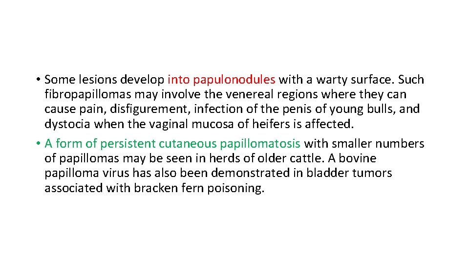 • Some lesions develop into papulonodules with a warty surface. Such fibropapillomas may