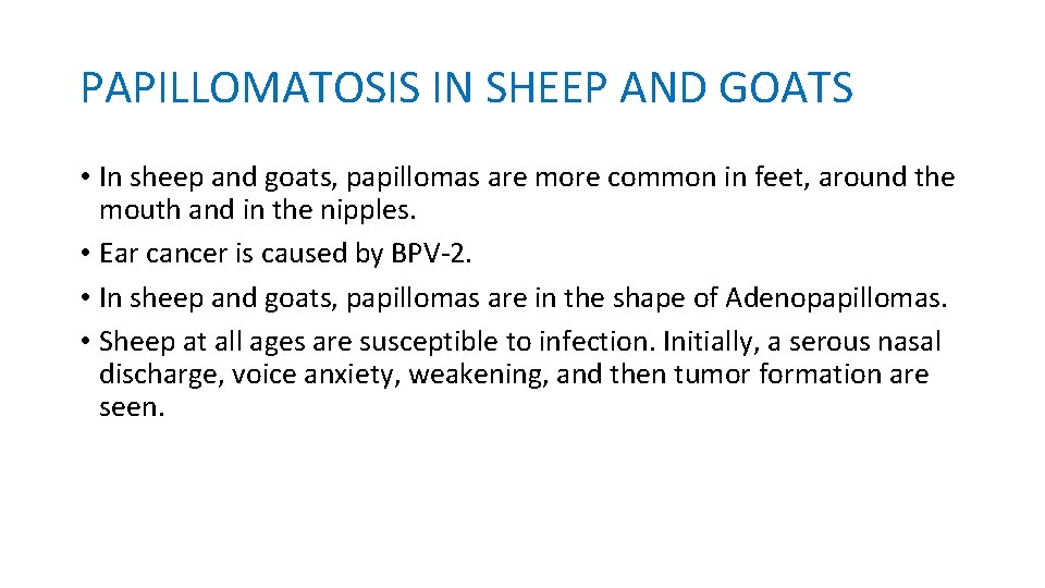 PAPILLOMATOSIS IN SHEEP AND GOATS • In sheep and goats, papillomas are more common