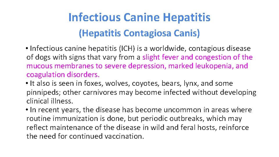 Infectious Canine Hepatitis (Hepatitis Contagiosa Canis) • Infectious canine hepatitis (ICH) is a worldwide,