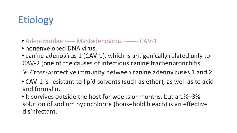 Etiology • Adenoviridae ----- Mastadenovirus ------- CAV-1 • nonenveloped DNA virus, • canine adenovirus