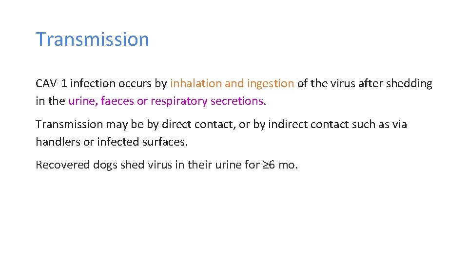 Transmission CAV-1 infection occurs by inhalation and ingestion of the virus after shedding in