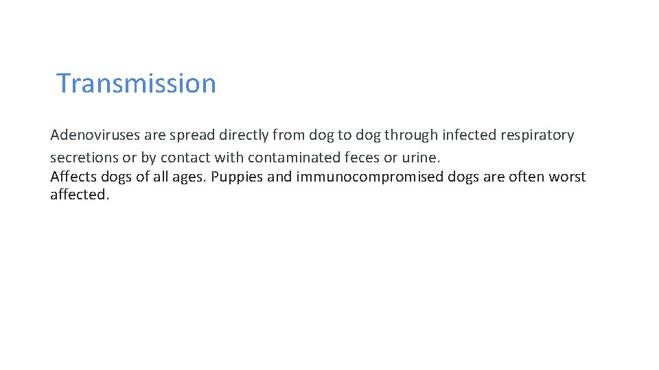 Transmission Adenoviruses are spread directly from dog to dog through infected respiratory secretions or