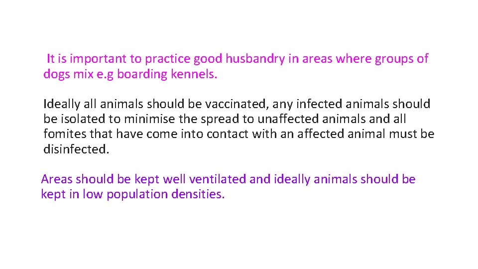  It is important to practice good husbandry in areas where groups of dogs