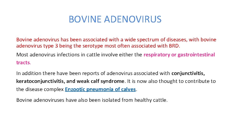 BOVINE ADENOVIRUS Bovine adenovirus has been associated with a wide spectrum of diseases, with