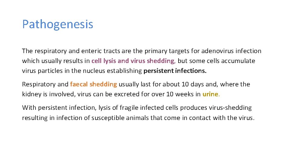 Pathogenesis The respiratory and enteric tracts are the primary targets for adenovirus infection which
