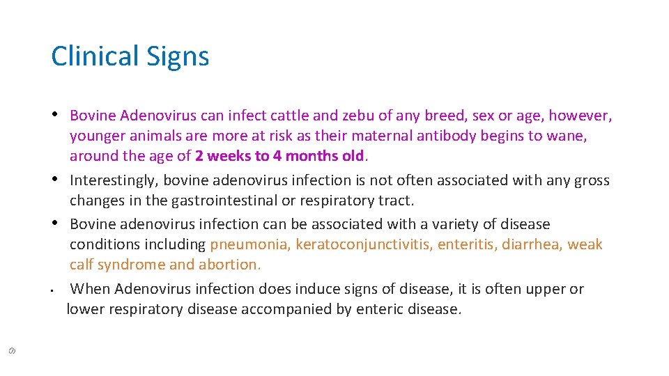 Clinical Signs • Bovine Adenovirus can infect cattle and zebu of any breed, sex