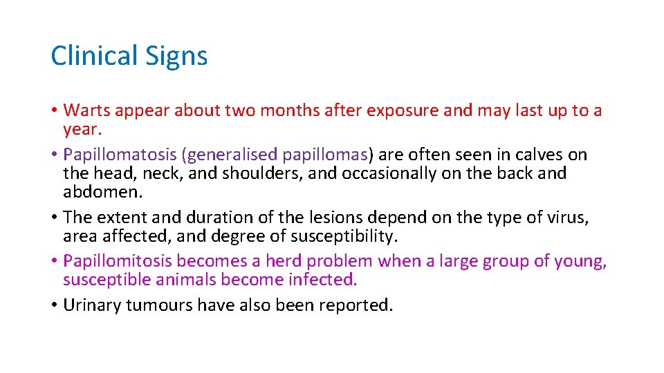 Clinical Signs • Warts appear about two months after exposure and may last up