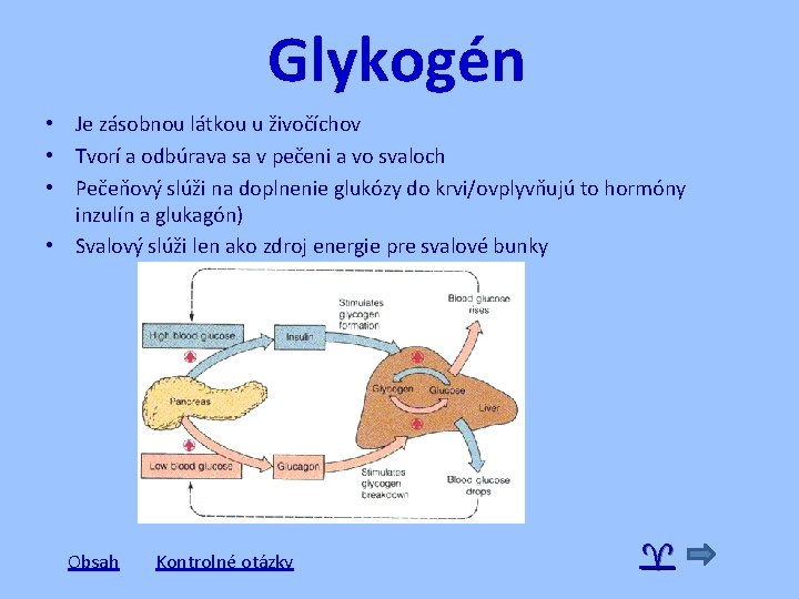 Glykogén • Je zásobnou látkou u živočíchov • Tvorí a odbúrava sa v pečeni
