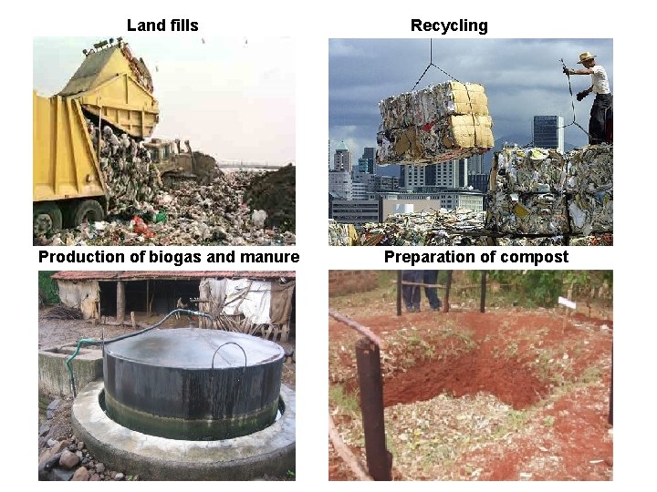 Land fills Production of biogas and manure Recycling Preparation of compost 