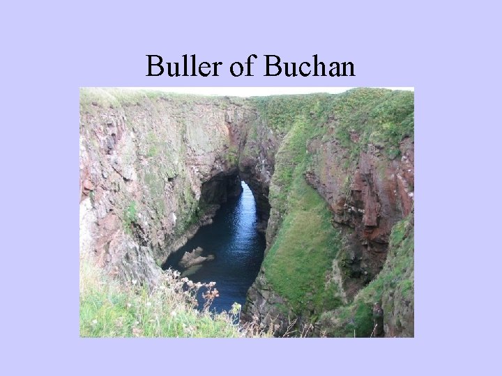 Buller of Buchan 