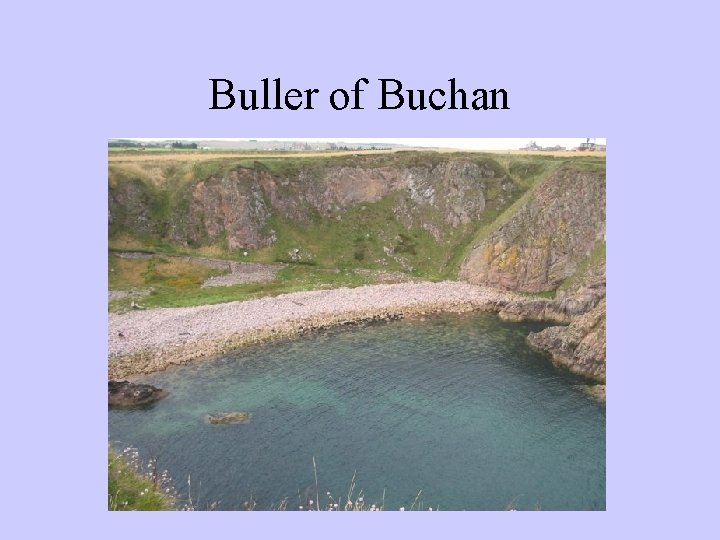 Buller of Buchan 