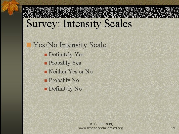 Survey: Intensity Scales n Yes/No Intensity Scale n Definitely Yes n Probably Yes n
