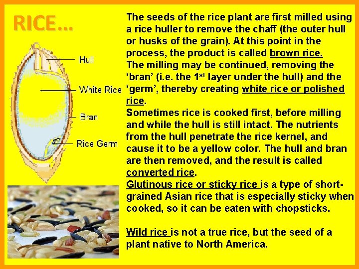 RICE… The seeds of the rice plant are first milled using a rice huller