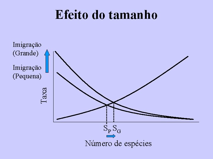 Efeito do tamanho Imigração (Grande) Taxa Imigração (Pequena) SP SG Número de espécies 