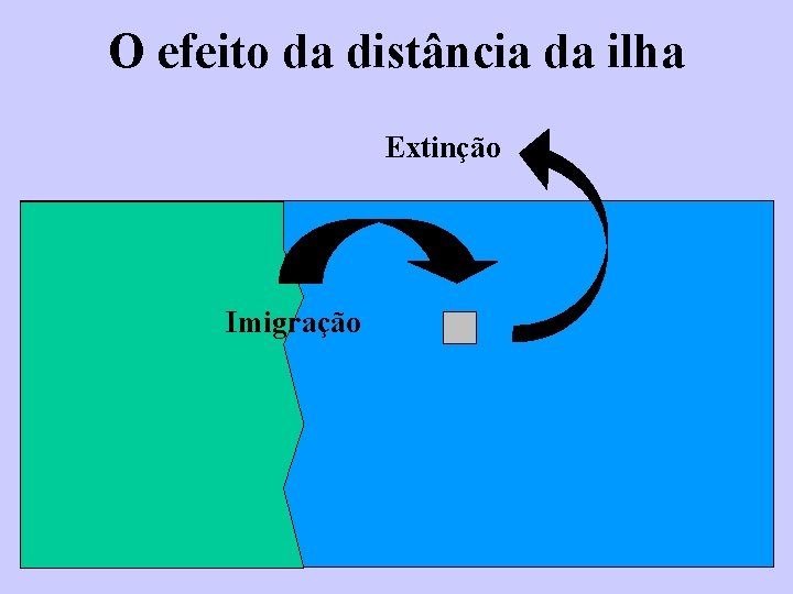 O efeito da distância da ilha Extinção Imigração 