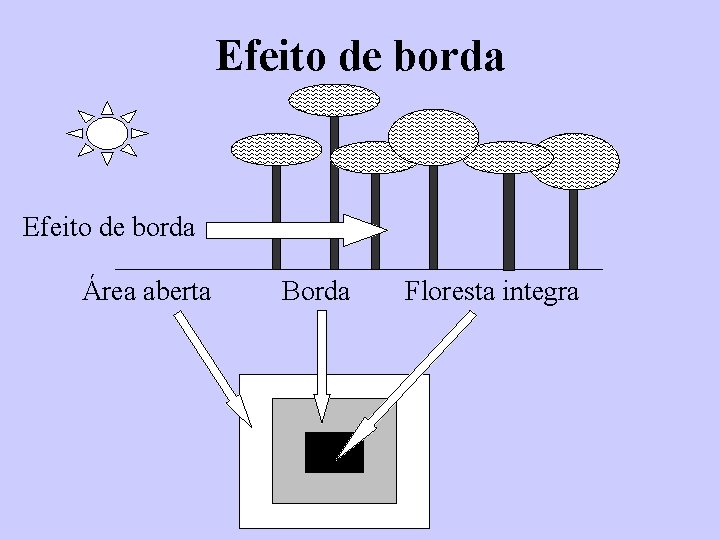 Efeito de borda Área aberta Borda Floresta integra 