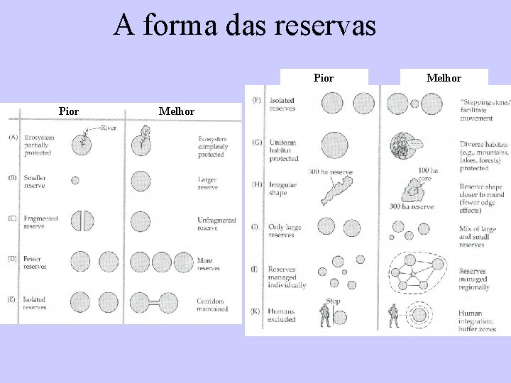 A forma das reservas Pior Melhor 