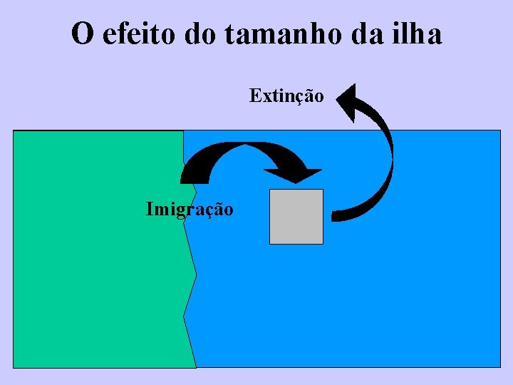 O efeito do tamanho da ilha Extinção Imigração 