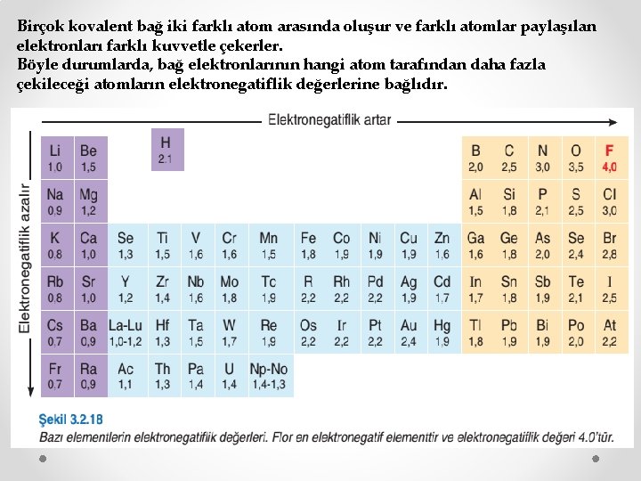 Birçok kovalent bağ iki farklı atom arasında oluşur ve farklı atomlar paylaşılan elektronları farklı