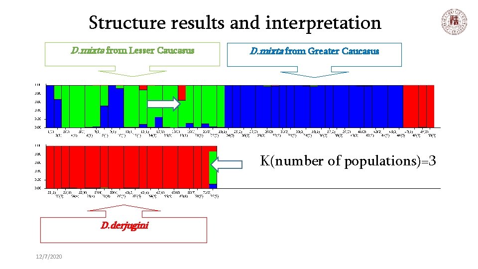 Structure results and interpretation D. mixta from Lesser Caucasus D. mixta from Greater Caucasus