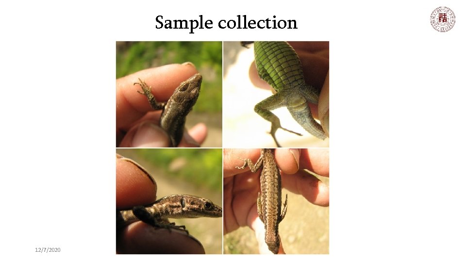 Sample collection 12/7/2020 