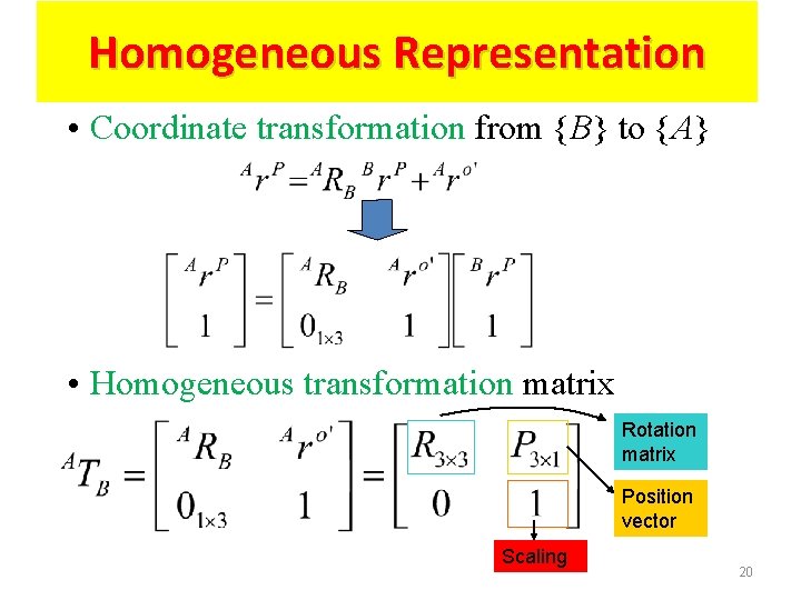 Homogeneous Representation • Coordinate transformation from {B} to {A} • Homogeneous transformation matrix Rotation