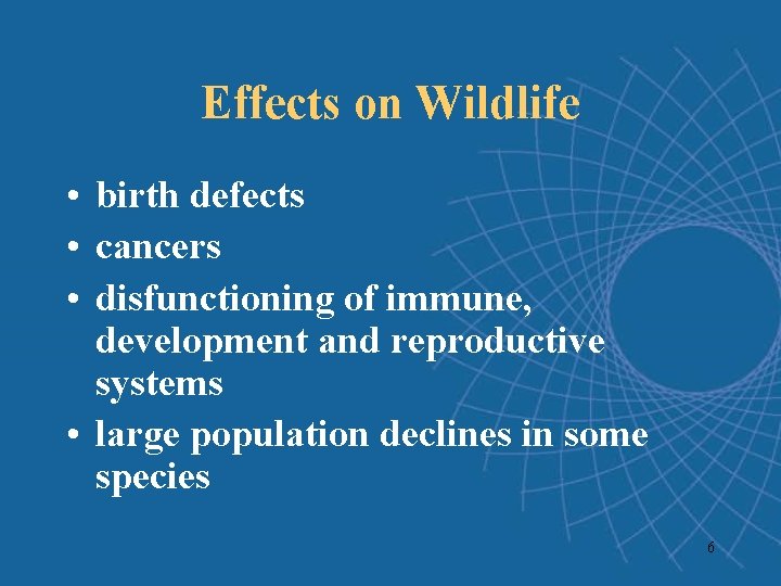 Effects on Wildlife • birth defects • cancers • disfunctioning of immune, development and Effects on Wildlife • birth defects • cancers • disfunctioning of immune, development and
