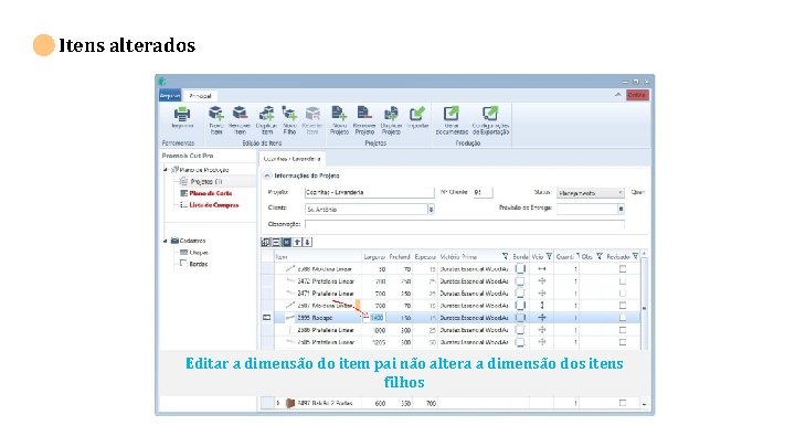 Itens alterados Editar a dimensão do item pai não altera a dimensão dos itens