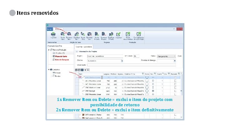 Itens removidos 1 x Remover Item ou Delete = exclui o item do projeto