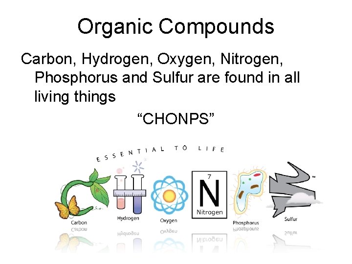 Organic Compounds Carbon, Hydrogen, Oxygen, Nitrogen, Phosphorus and Sulfur are found in all living