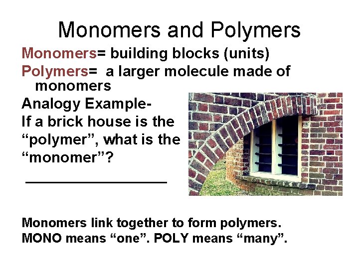 Monomers and Polymers Monomers= building blocks (units) Polymers= a larger molecule made of monomers Monomers and Polymers Monomers= building blocks (units) Polymers= a larger molecule made of monomers