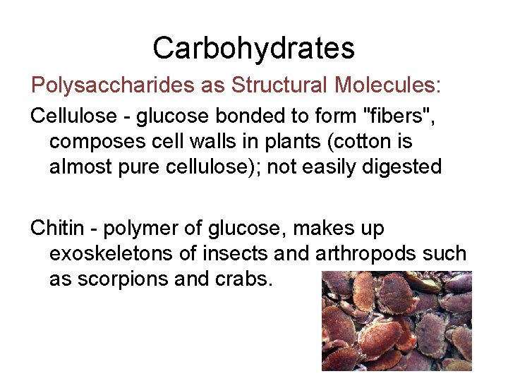 Carbohydrates Polysaccharides as Structural Molecules: Cellulose - glucose bonded to form "fibers", composes cell