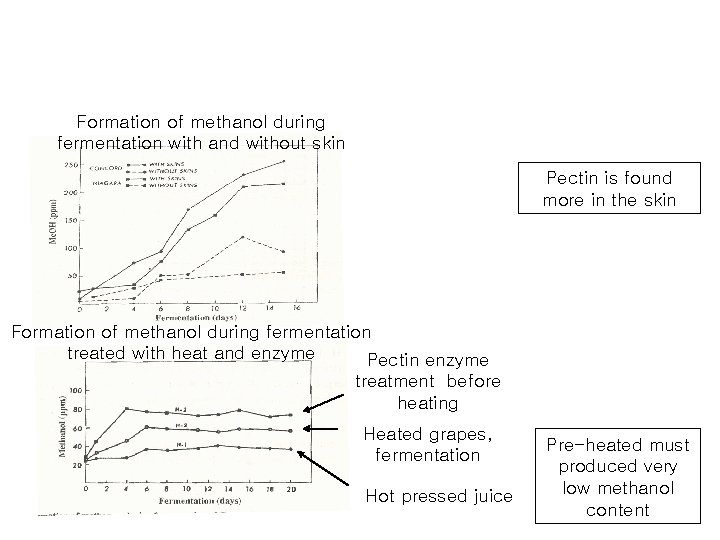 Formation of methanol during fermentation with and without skin Pectin is found more in