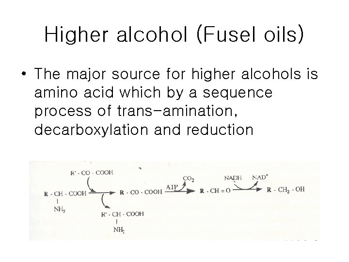 Higher alcohol (Fusel oils) • The major source for higher alcohols is amino acid